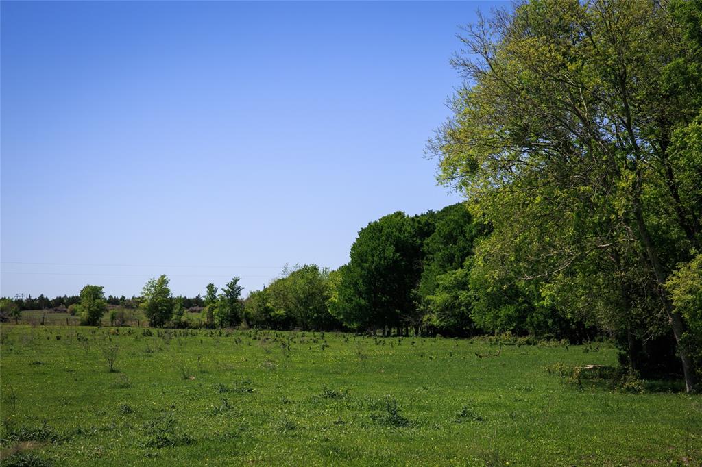 a view of a grassy field with trees