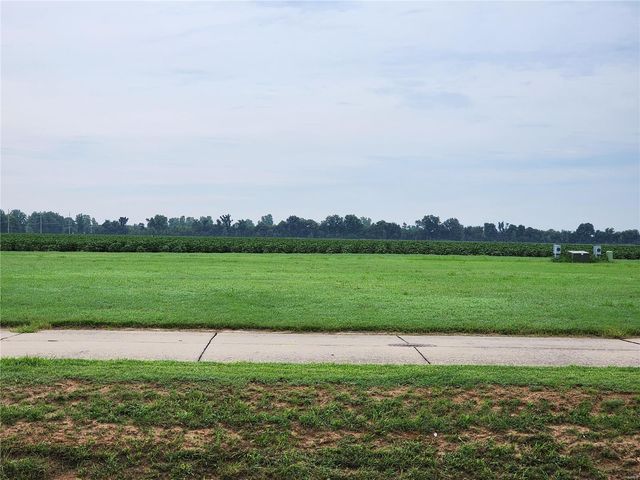 $15,000 | 802 Bollweevil Boulevard | Sikeston