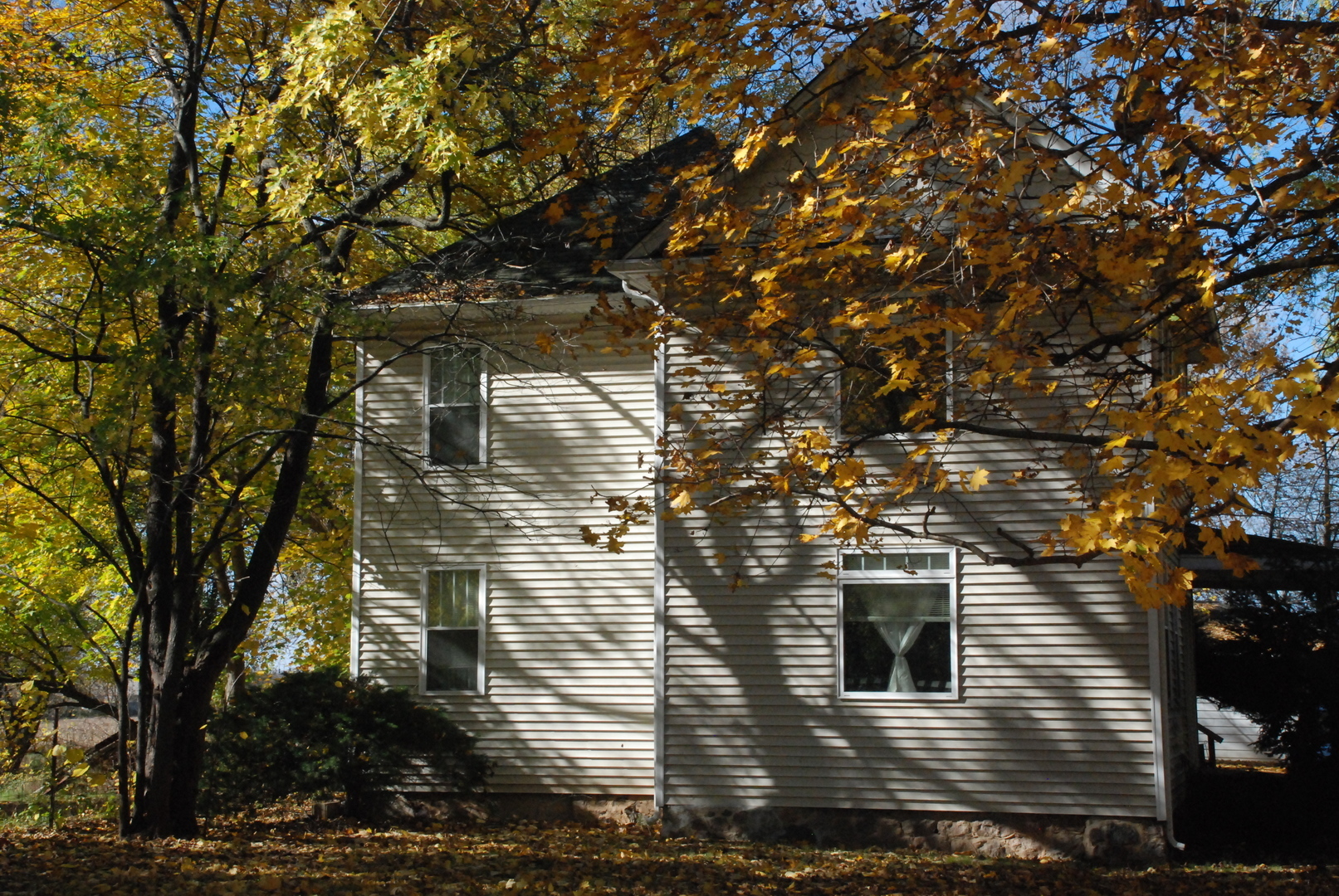 a view of a house with a tree