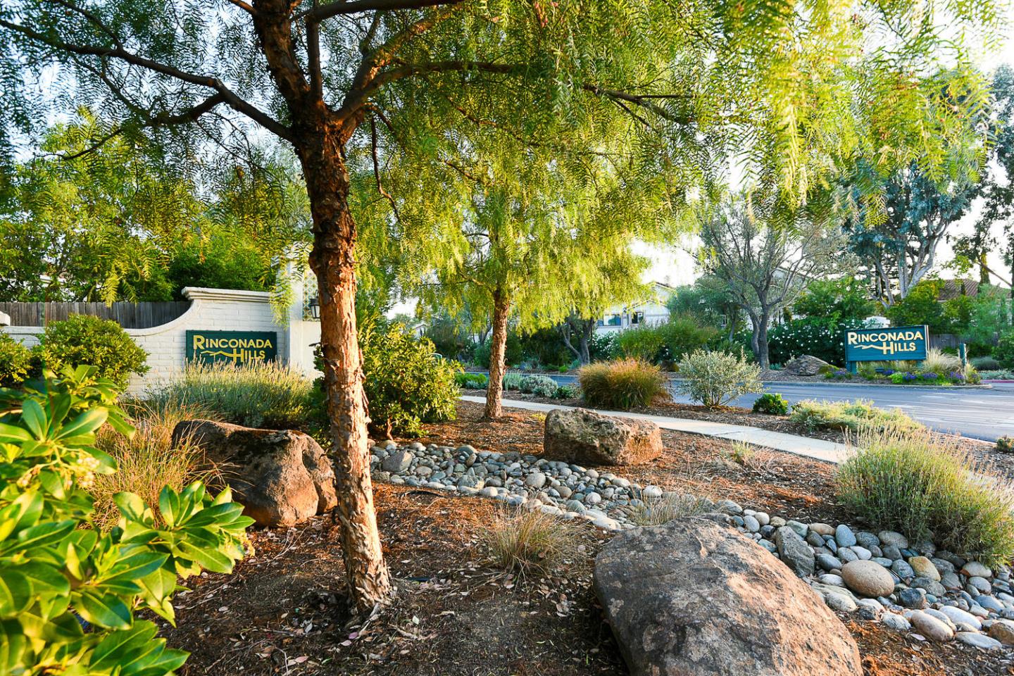 a view of a garden with trees