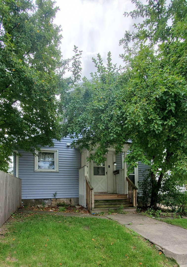 a view of a backyard with a large tree