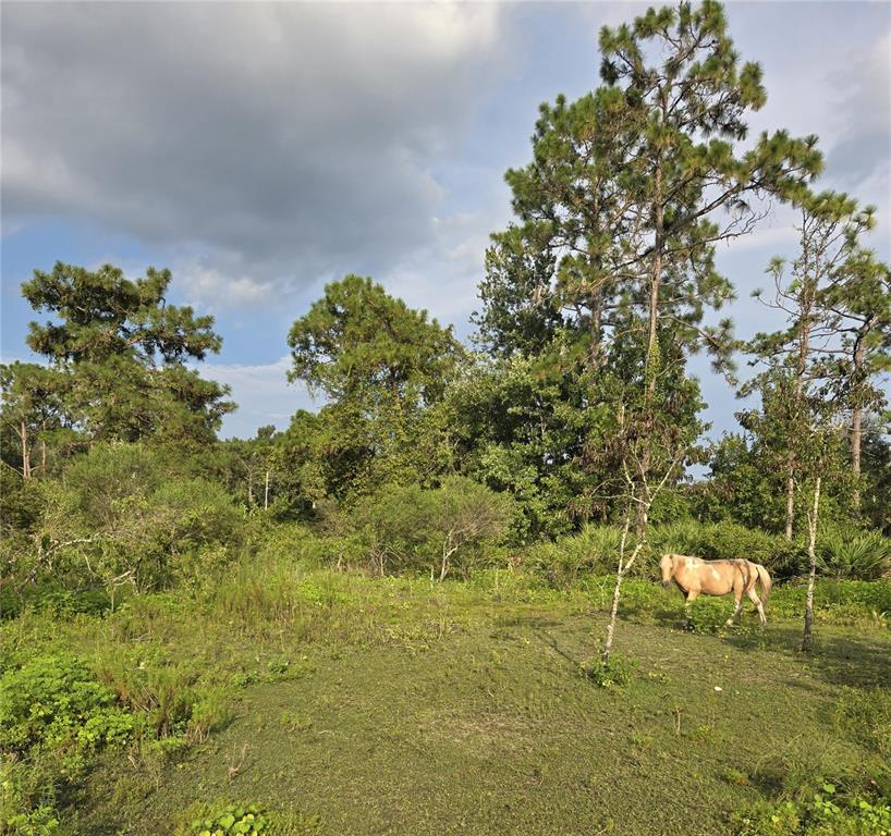 Facing west of property