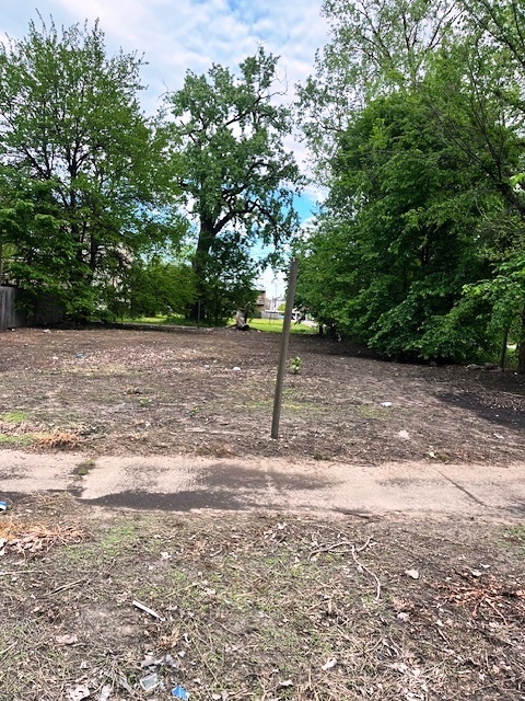 a view of a yard with trees