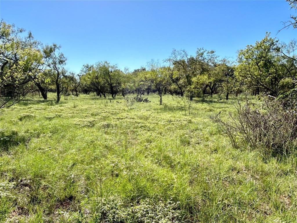 a view of a yard with an trees