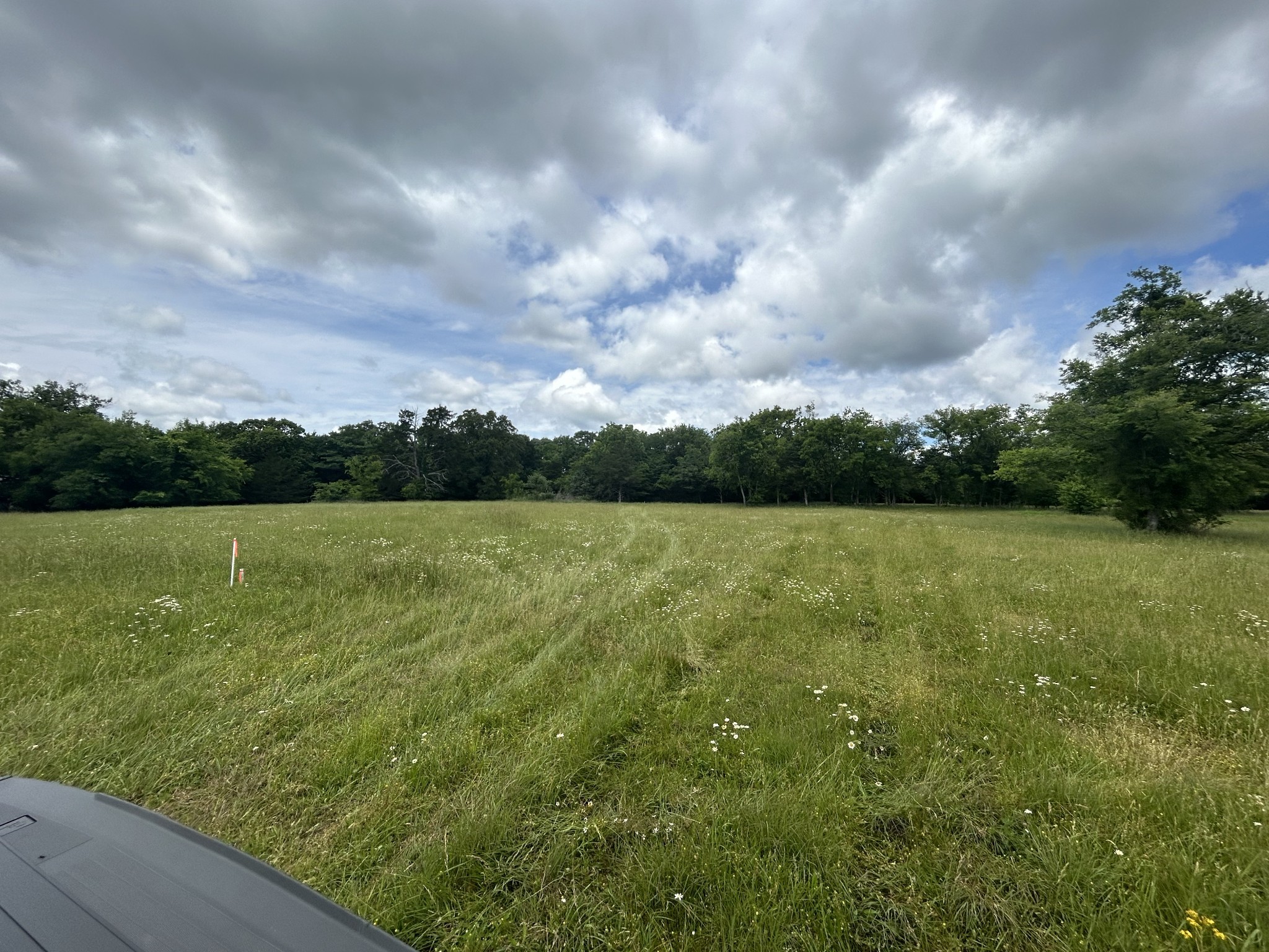 a view of a green field with wooden fence