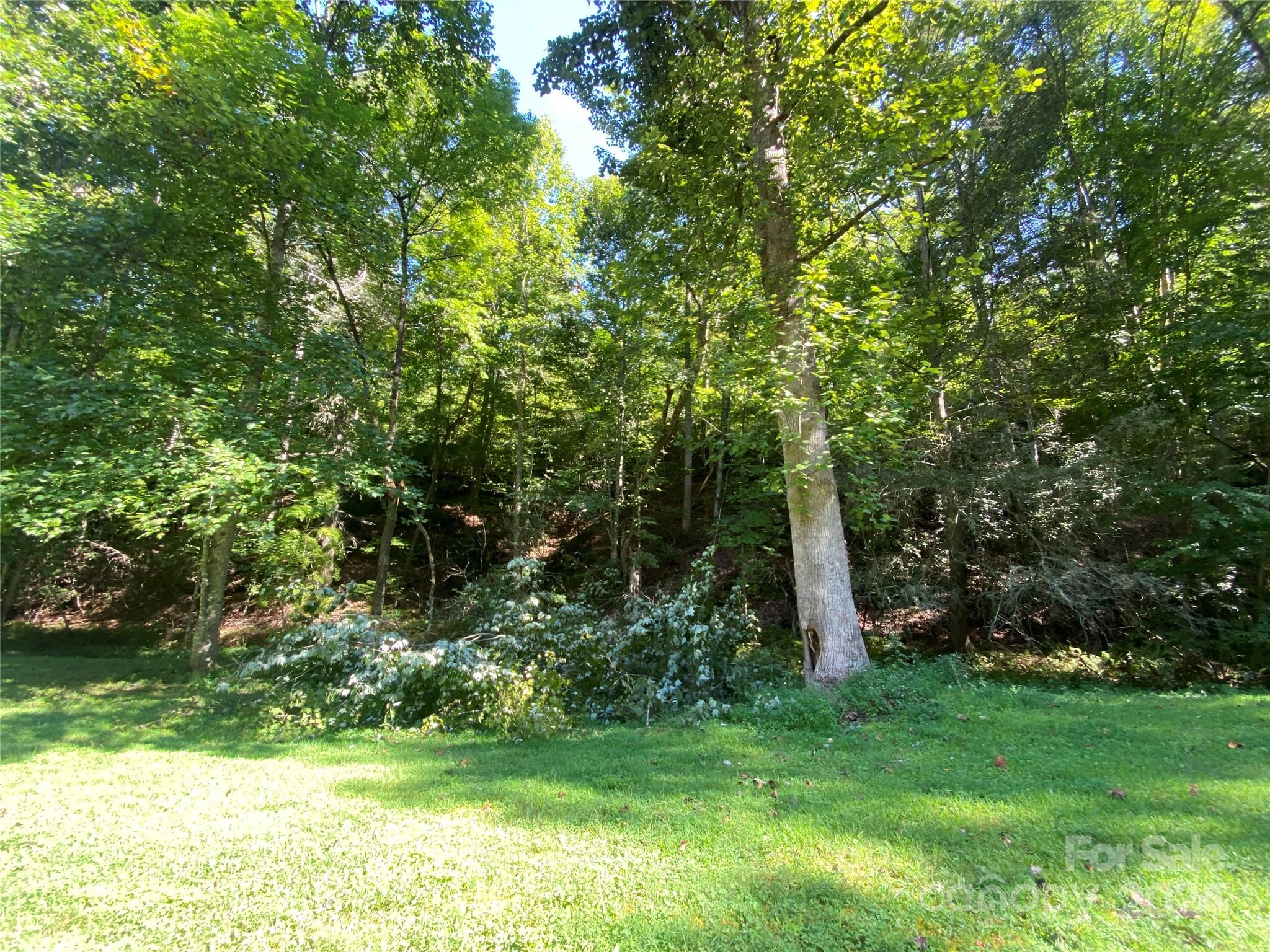 a view of a backyard with a garden and entertaining space