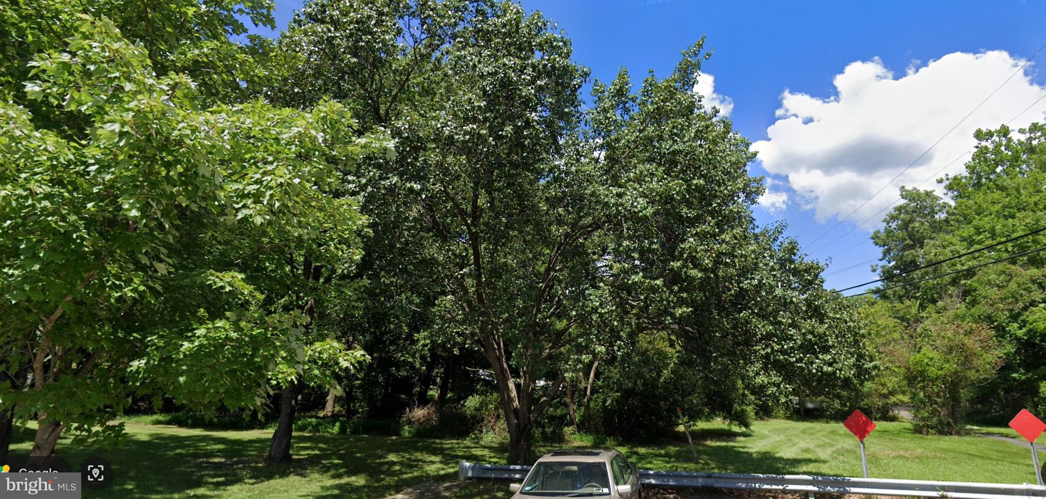 a view of a park with large trees