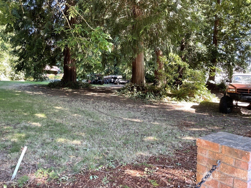 a view of a tree in the middle of a yard