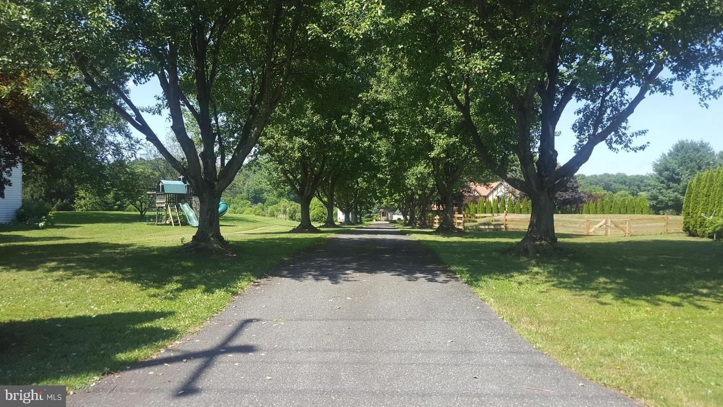 a view of a yard with a tree