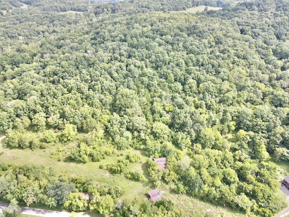 a view of a big yard with plants and a small yard