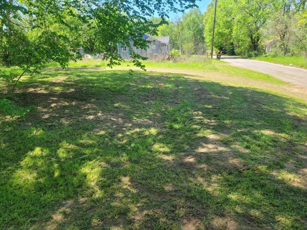 a view of a trees with a big yard