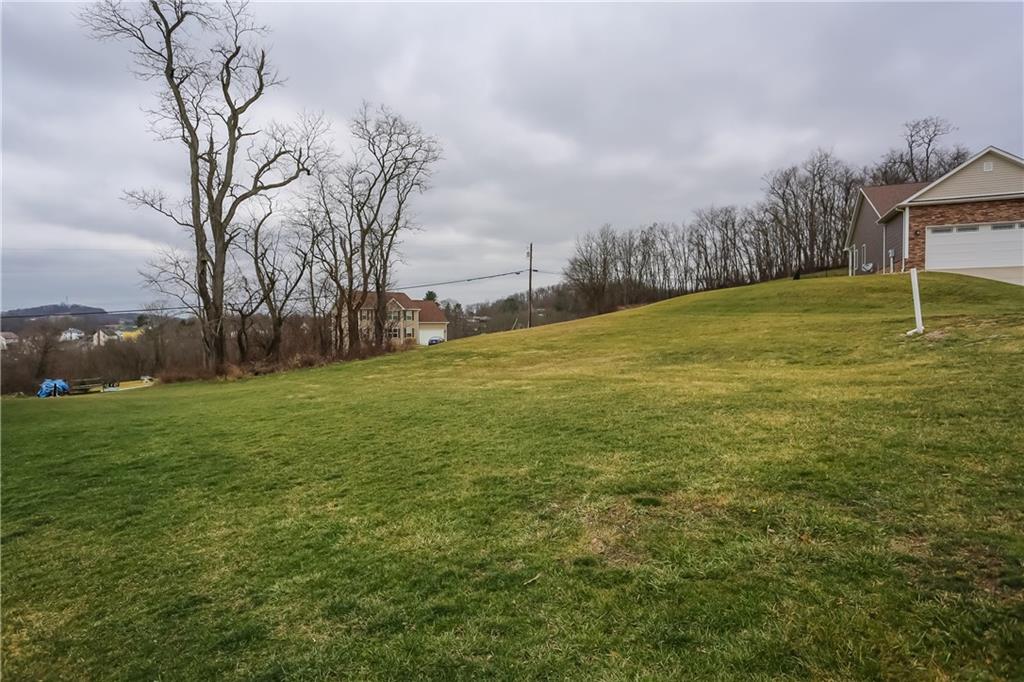 a view of a field of grass and trees