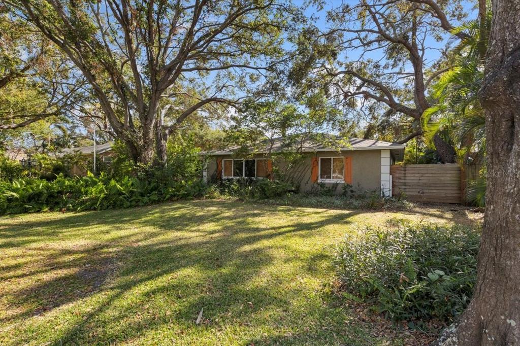 a view of a house with a yard and large tree