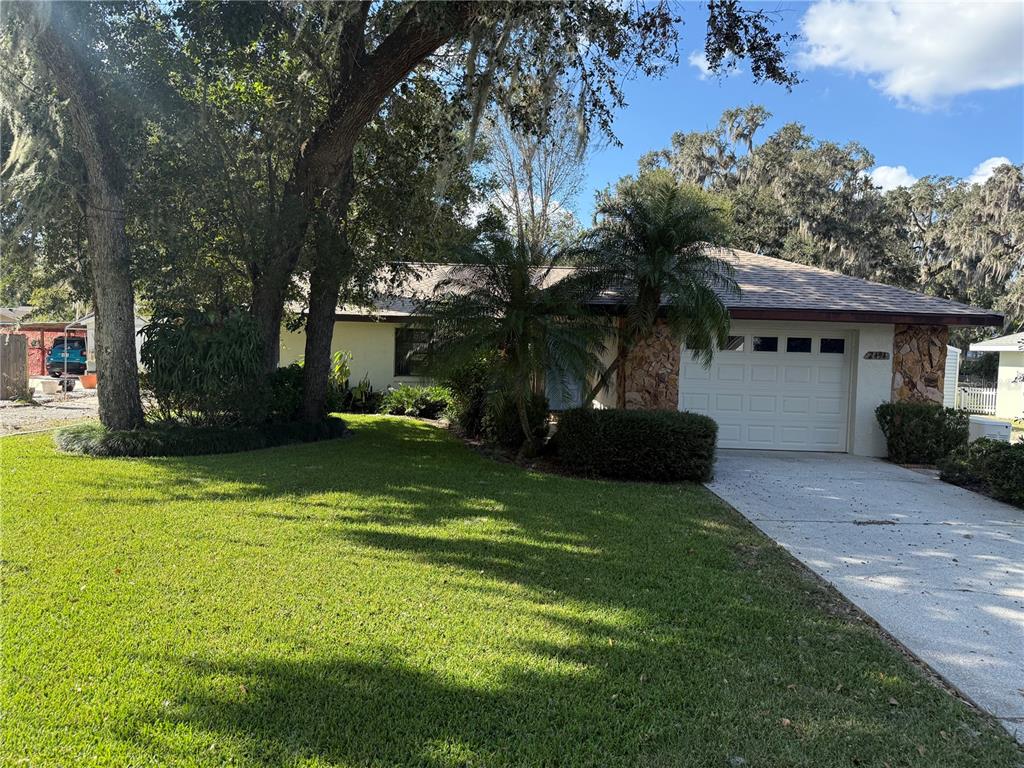 a view of a house with backyard and a tree