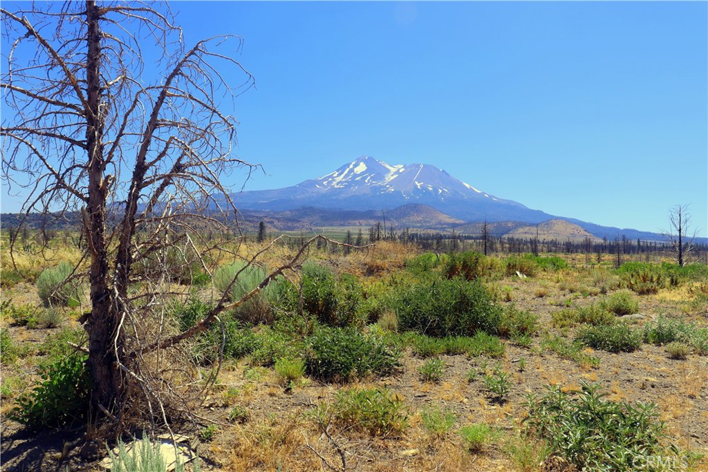 a view of a mountain with a yard