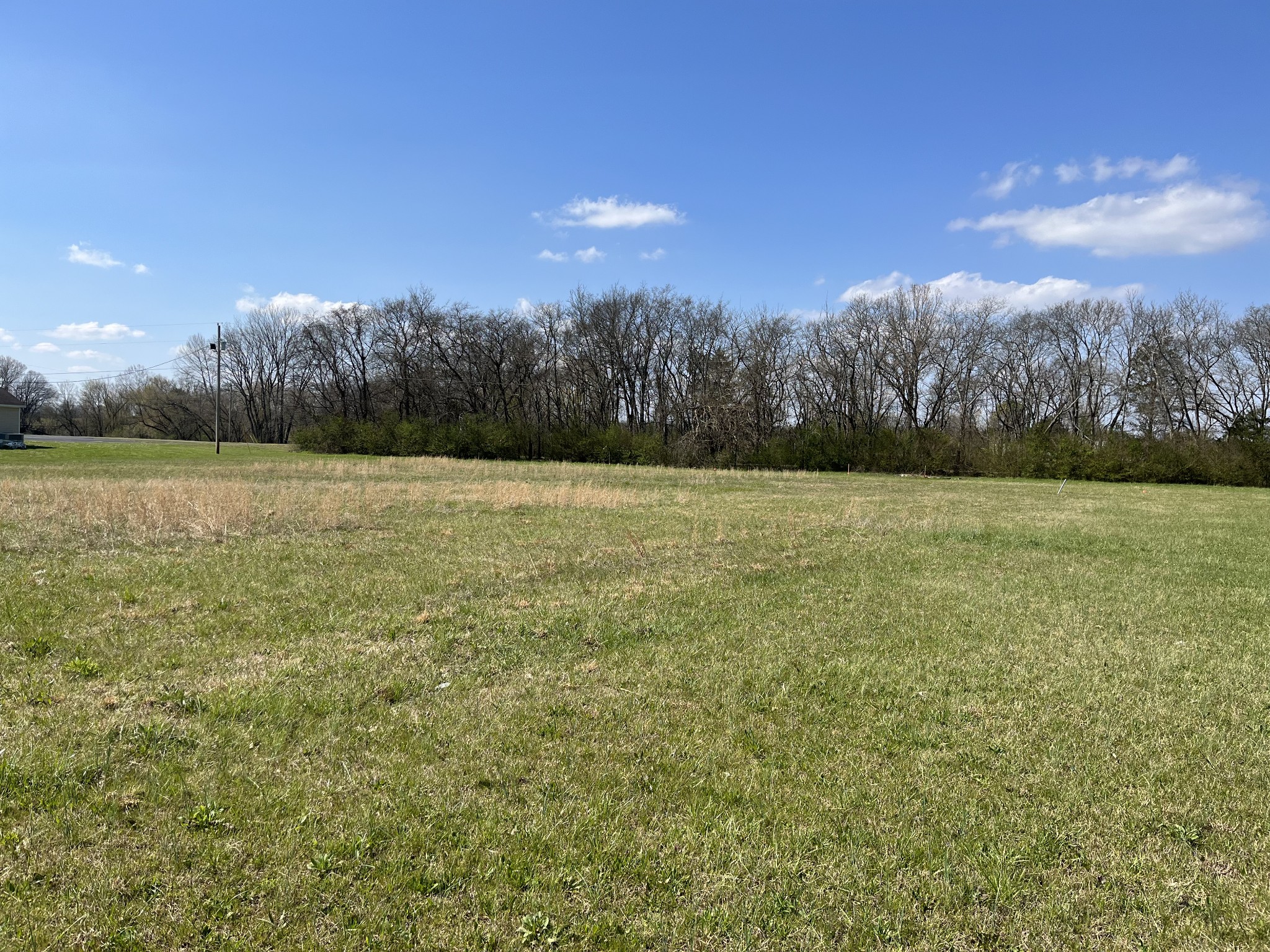 a view of a field with an ocean