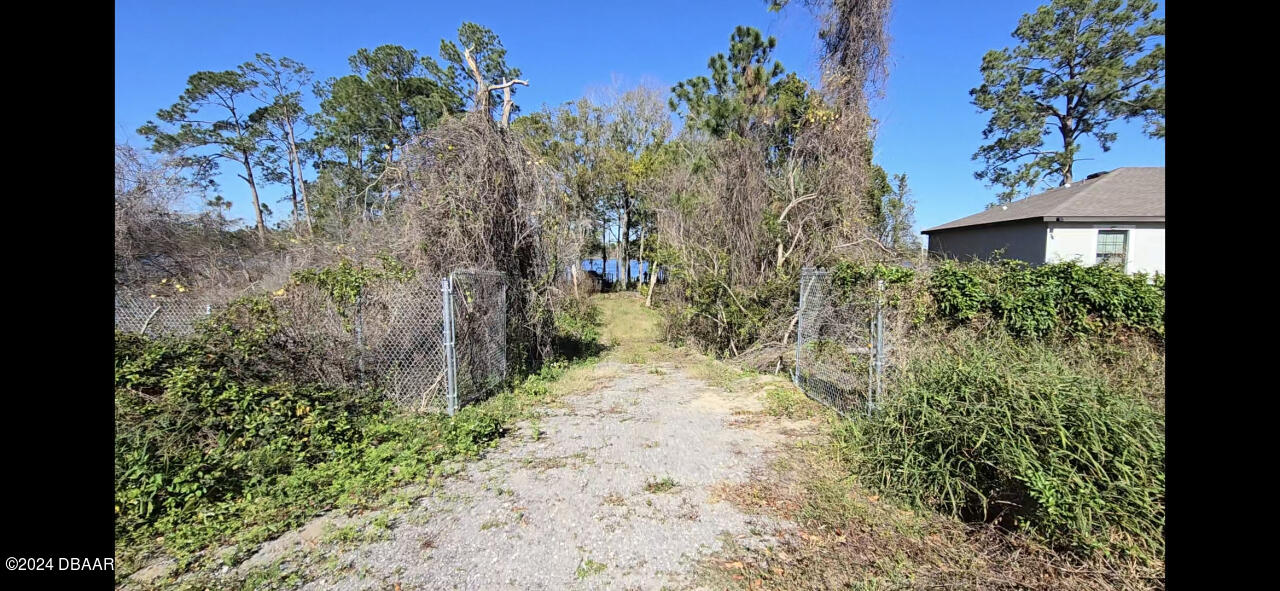 a view of a pathway in a yard