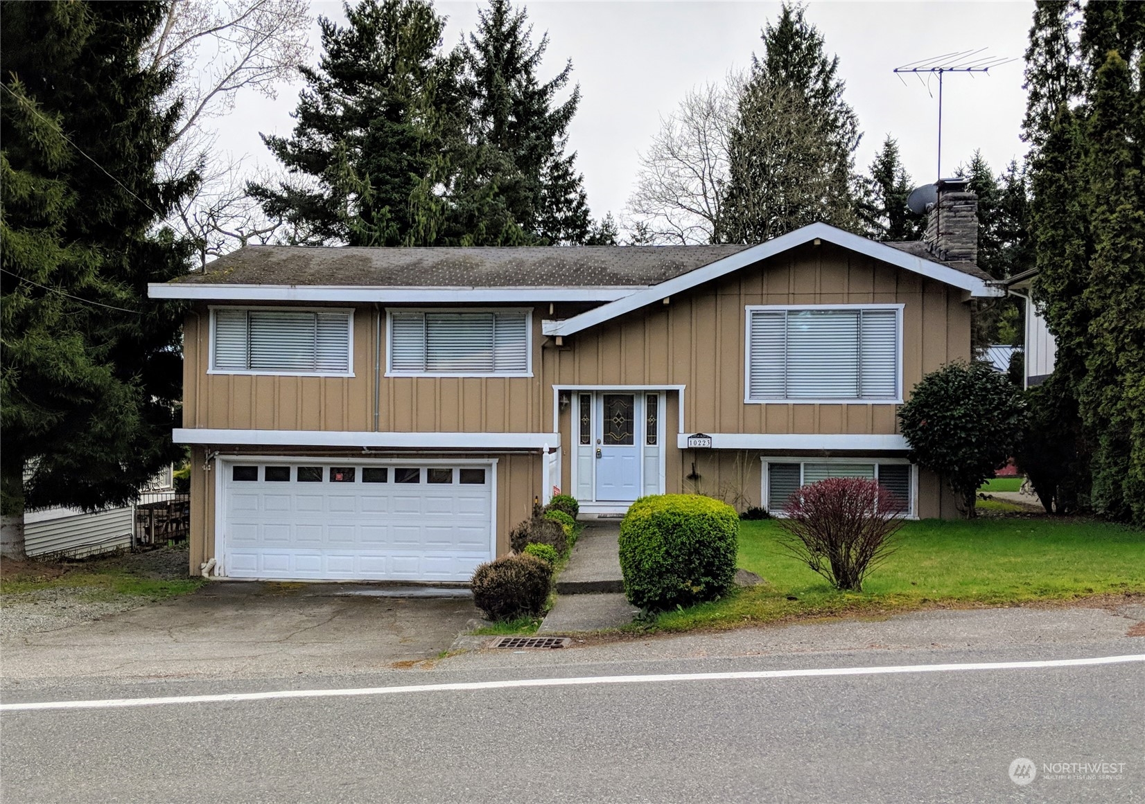 a view of a house with a yard plants and large tree