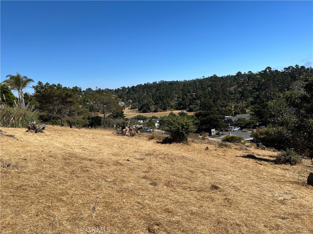 a view of outdoor space and city view