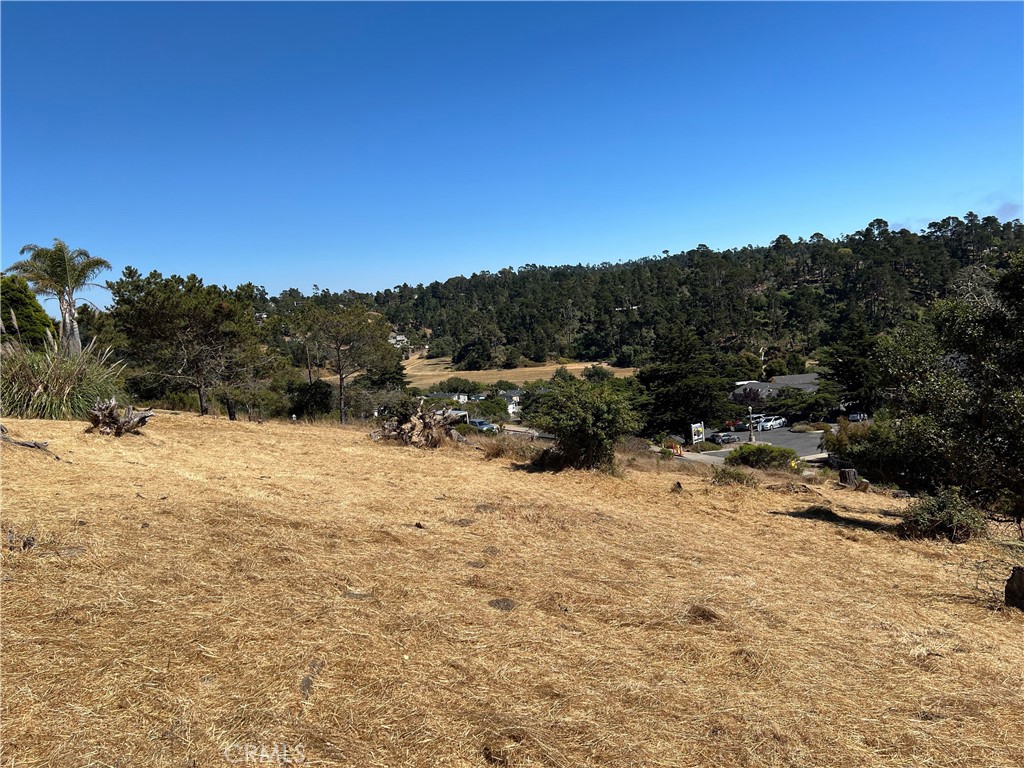 a view of outdoor space and city view