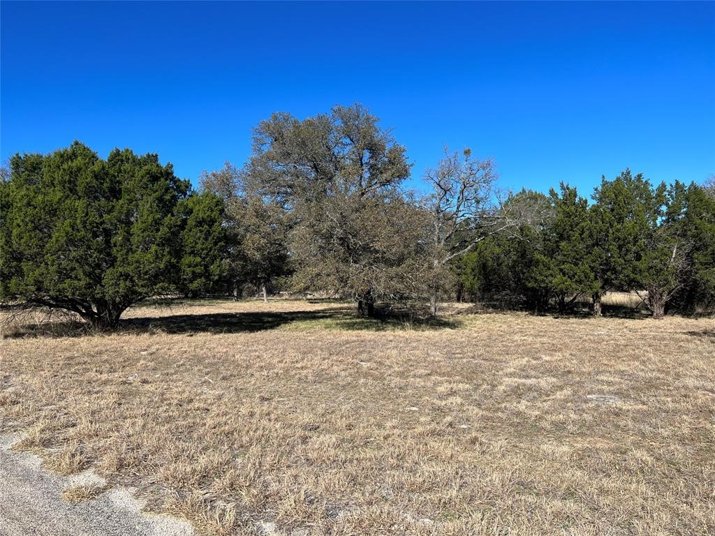 a view of a yard with trees