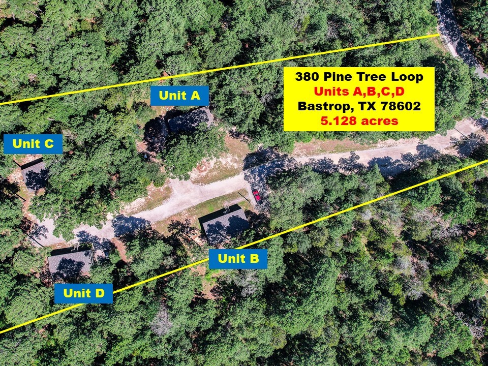 380 Pine Tree Loop