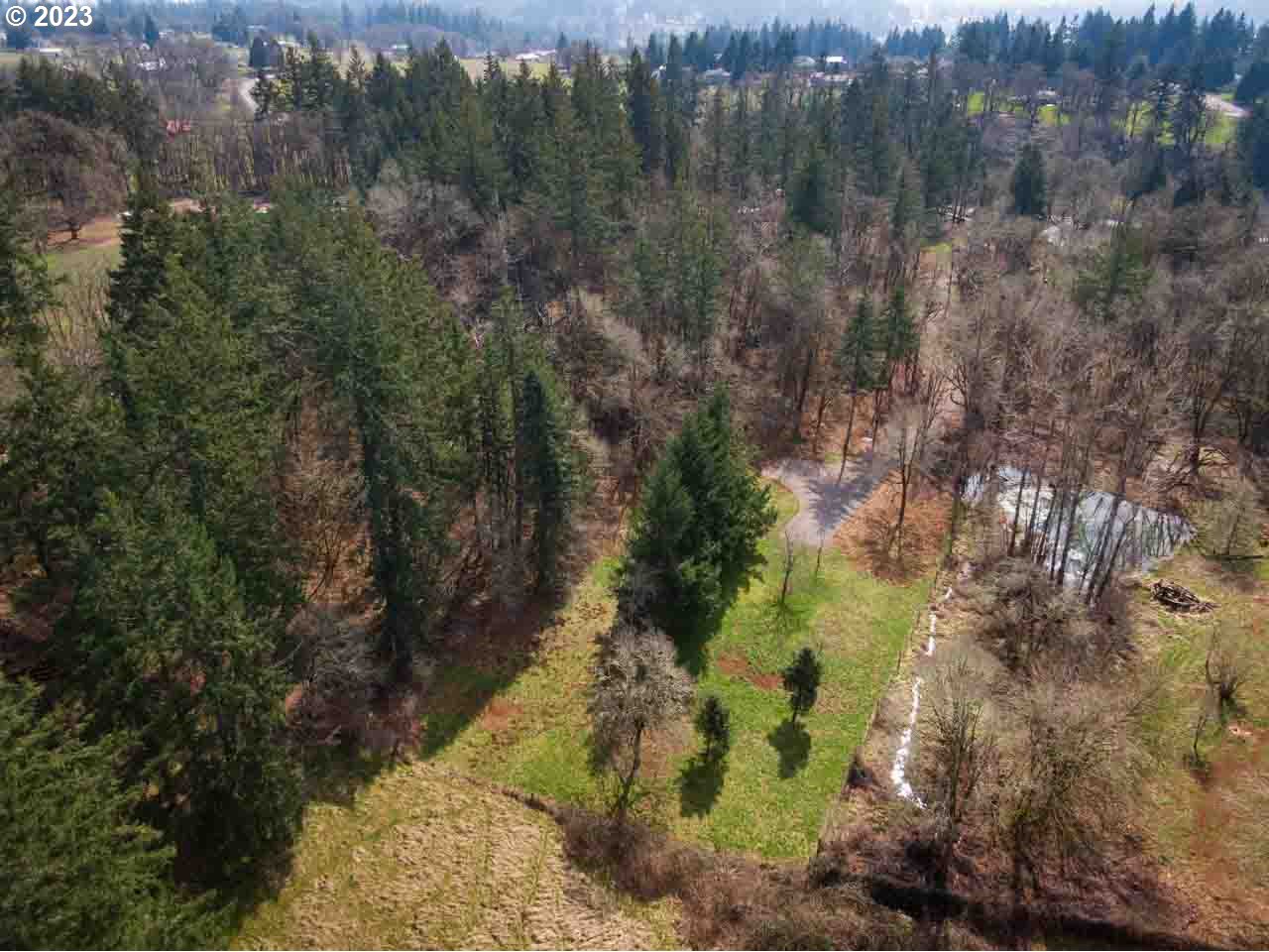 a view of a forest with a yard