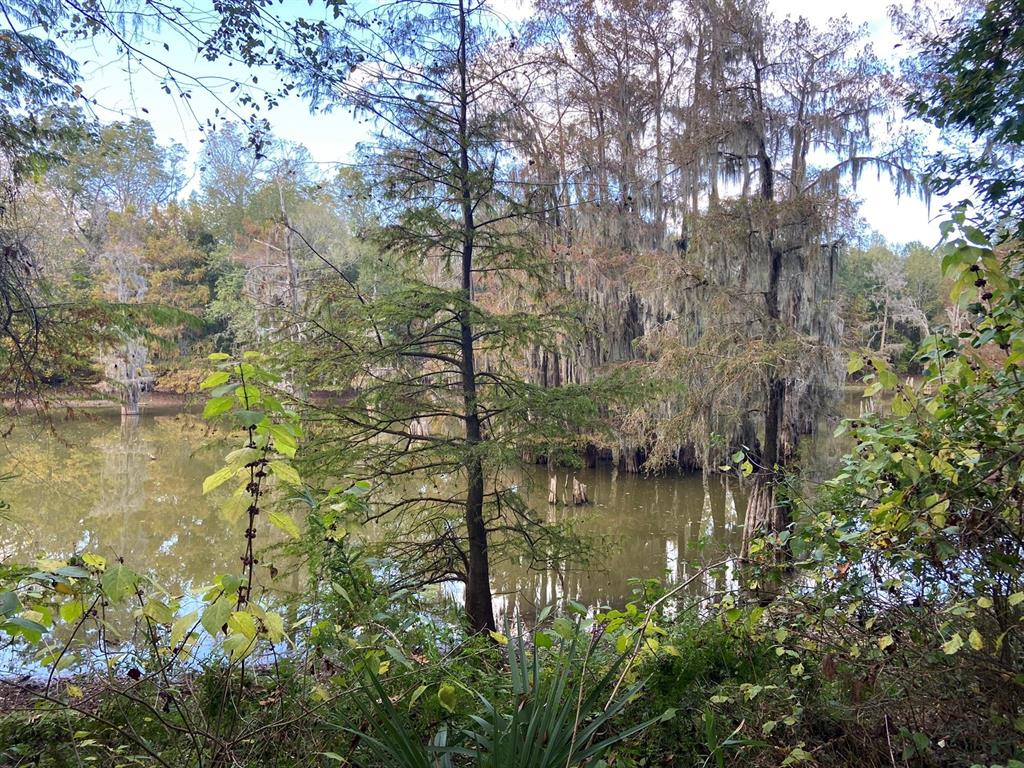 Wooded Waterfront Lot