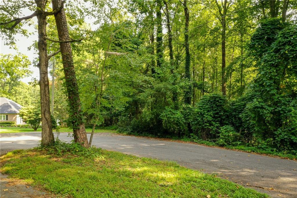 a view of a yard with a tree