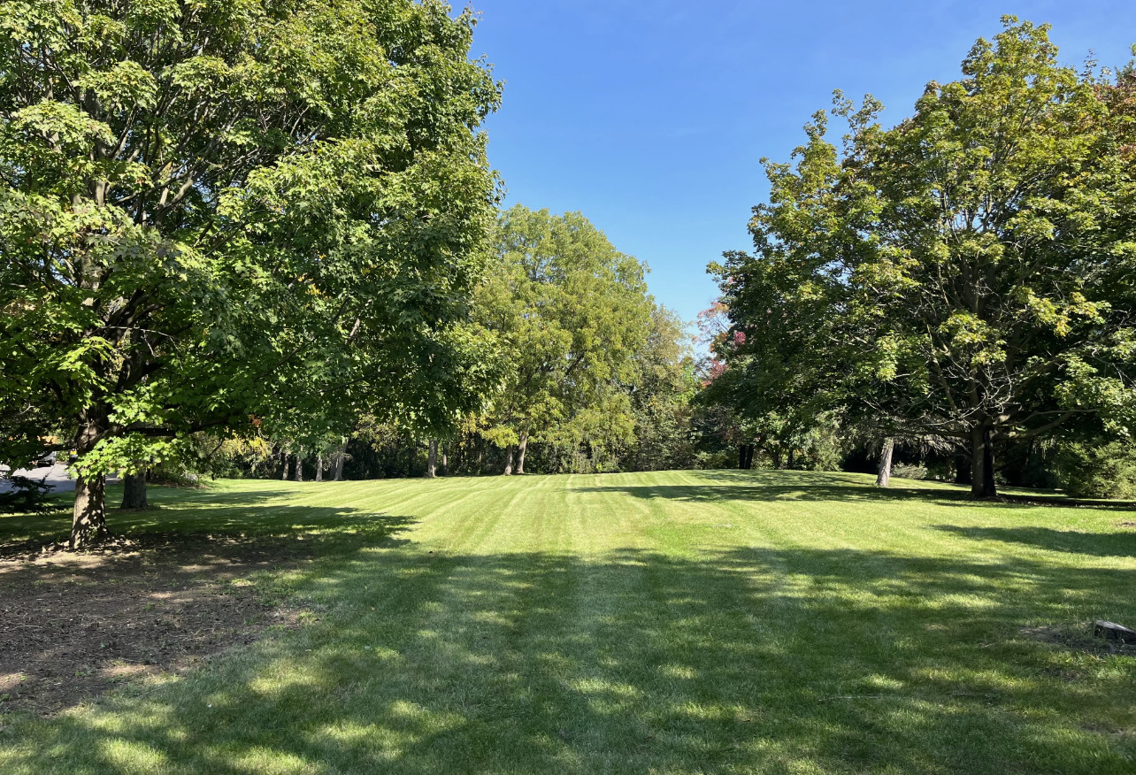 a view of a golf course with a trees