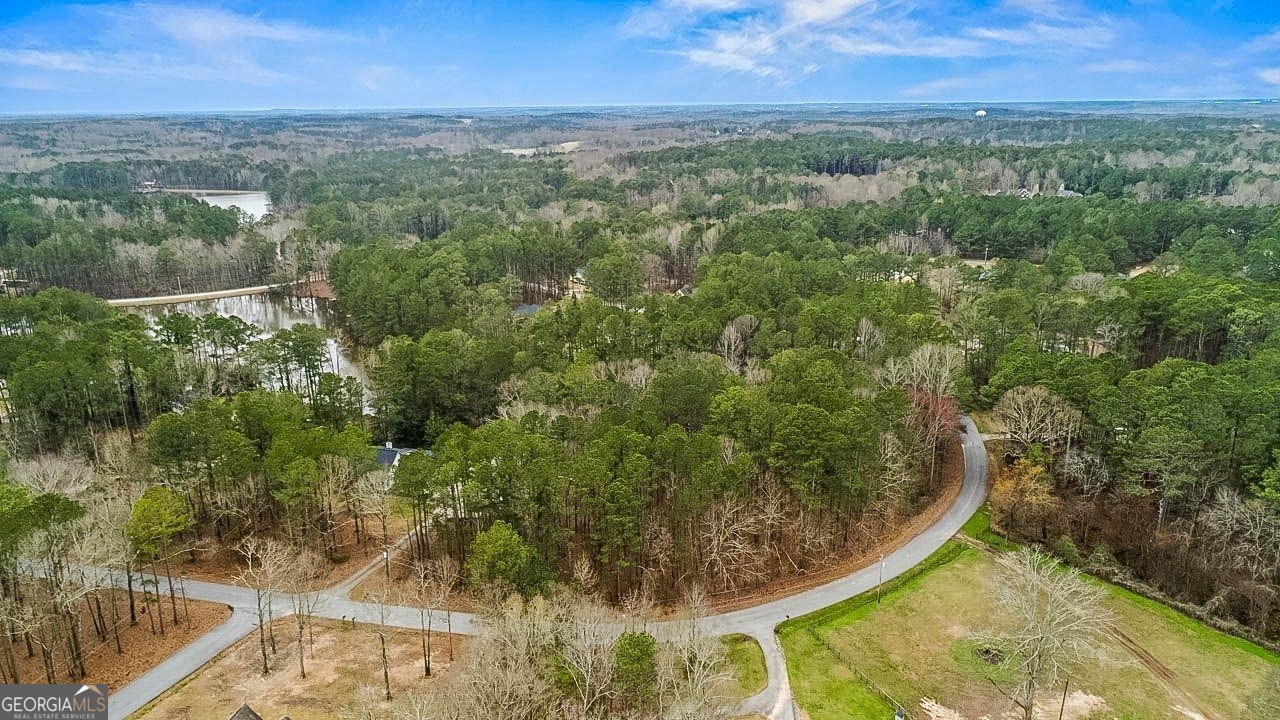 an aerial view of a residential houses with outdoor space and trees