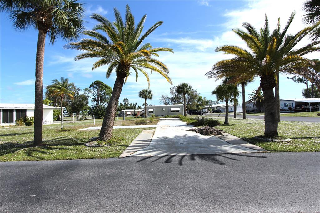 a view of a yard with palm tree