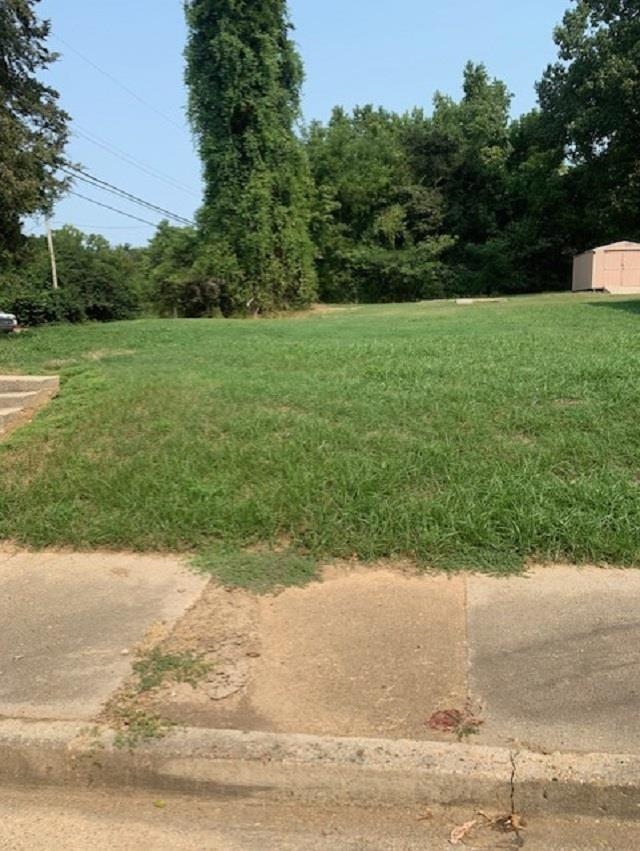 a view of a grassy area with a yard