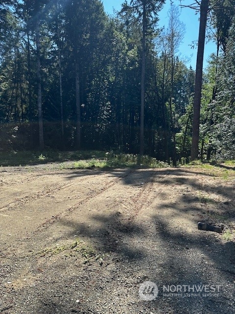 a view of outdoor space with yard