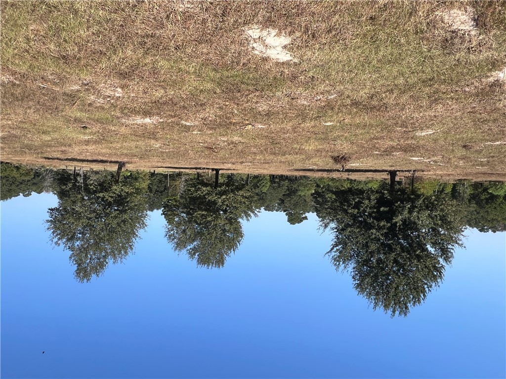 a view of dirt field with trees in background