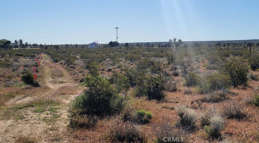 a view of a dry field with lots of trees in the background