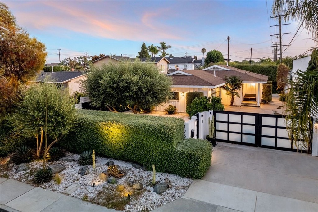 a view of a backyard