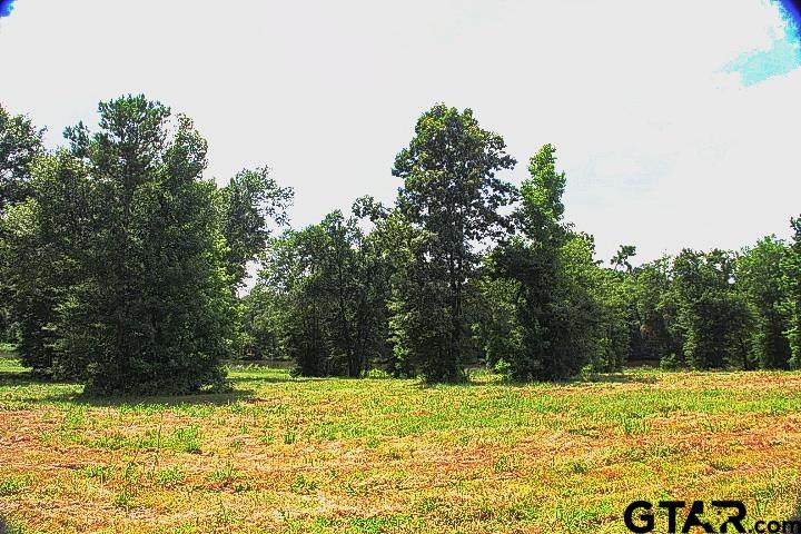 a view of a yard with a trees