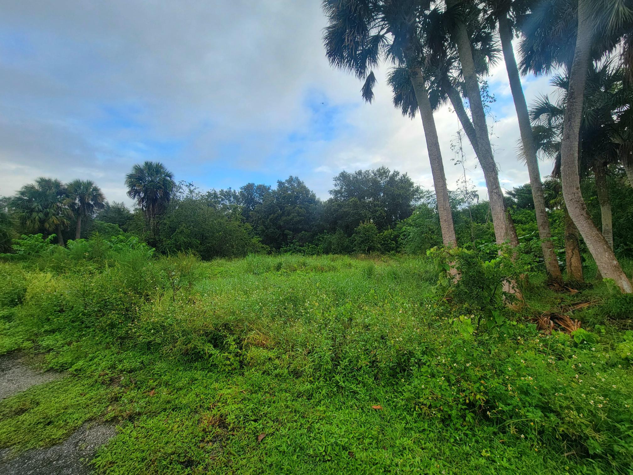 a view of a garden