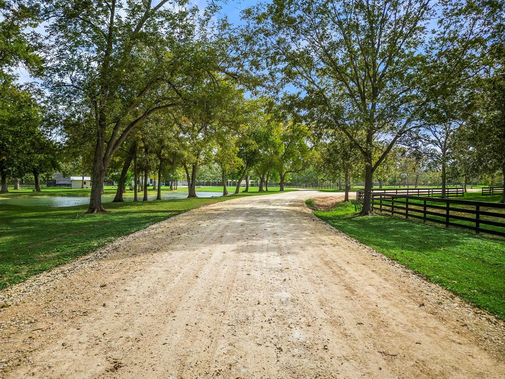 a view of a park with tree s