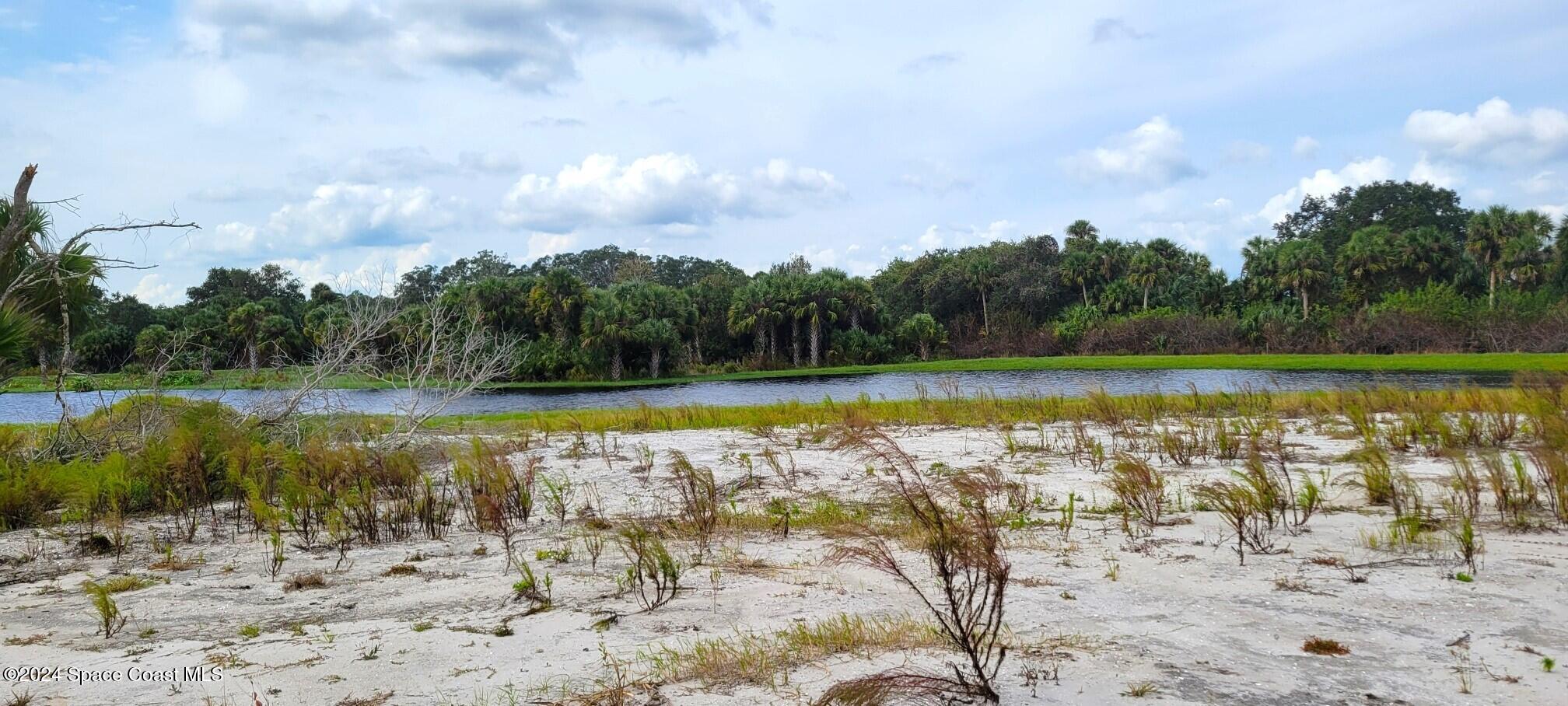 a view of a lake with a beach