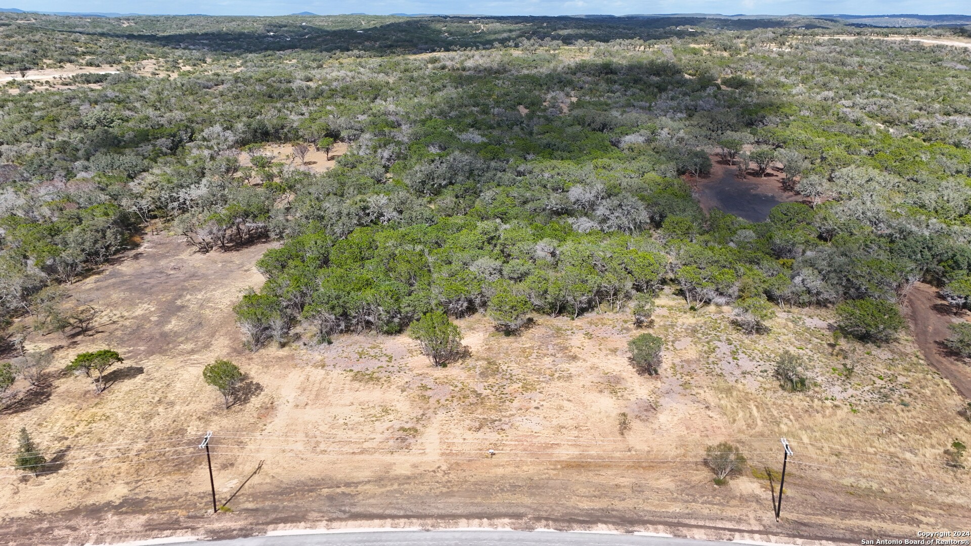 a view of a yard with a dry yard