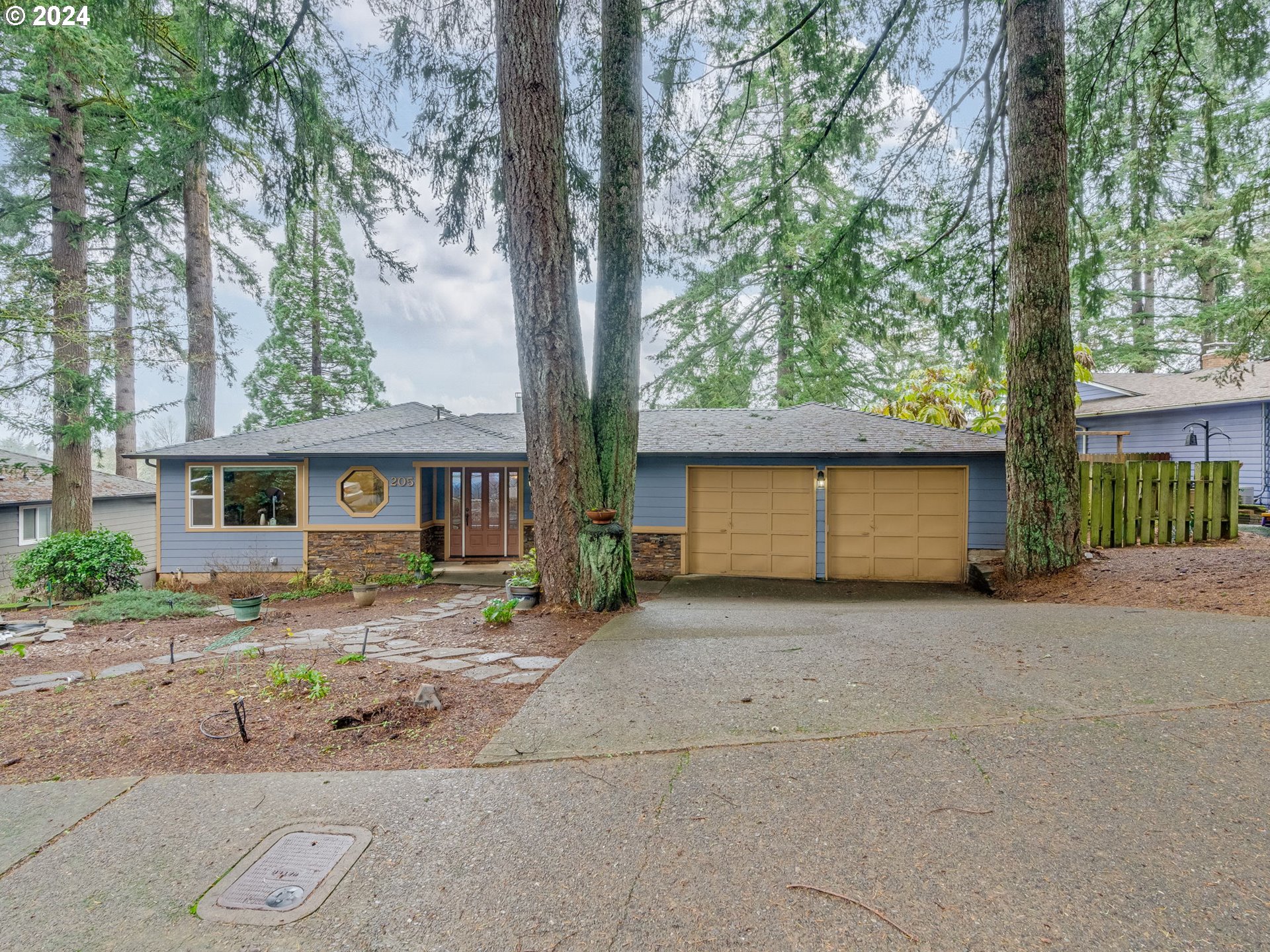 a view of a house with a tree in front of it