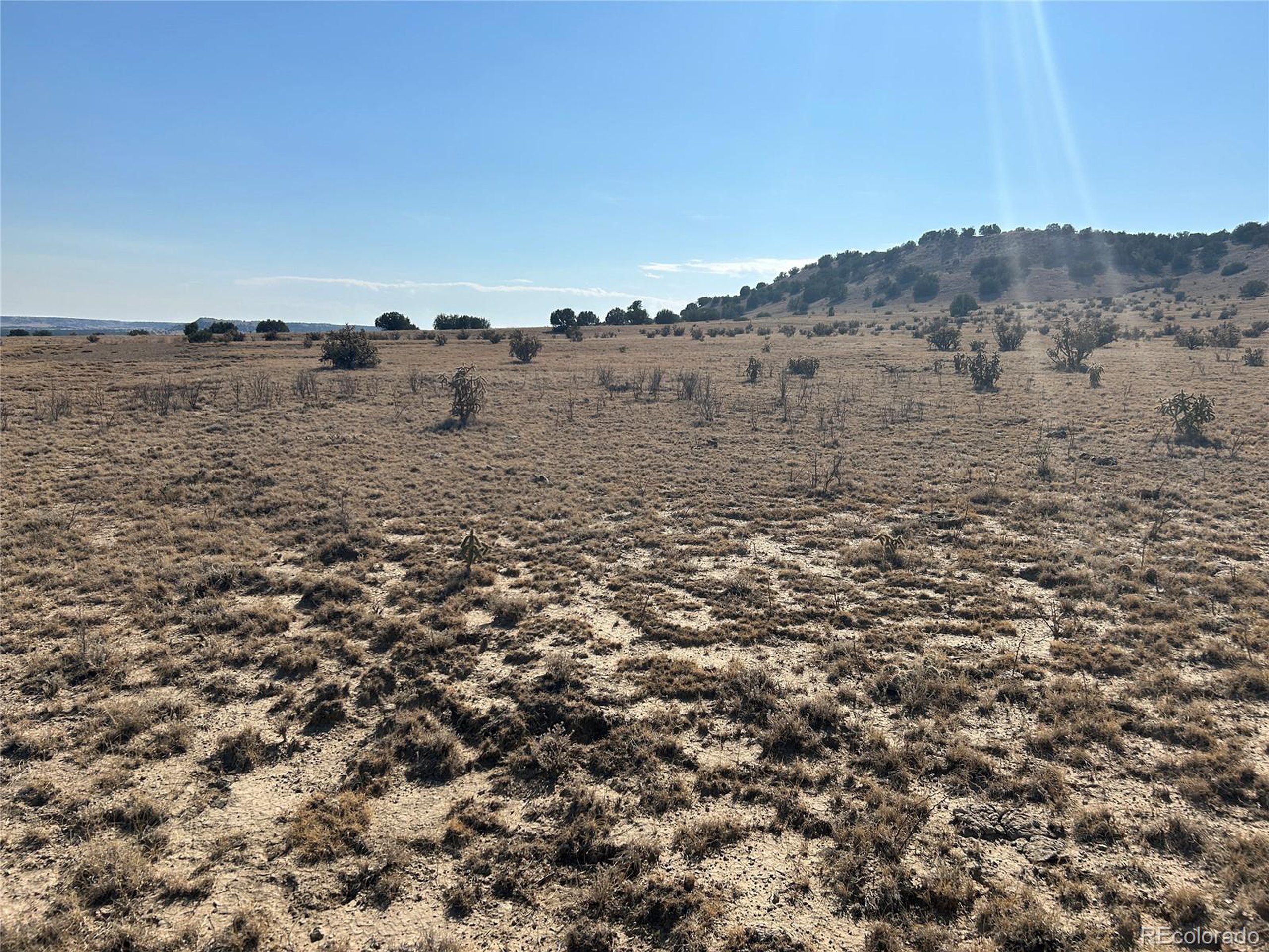 a view of a dry yard with mountains in the background