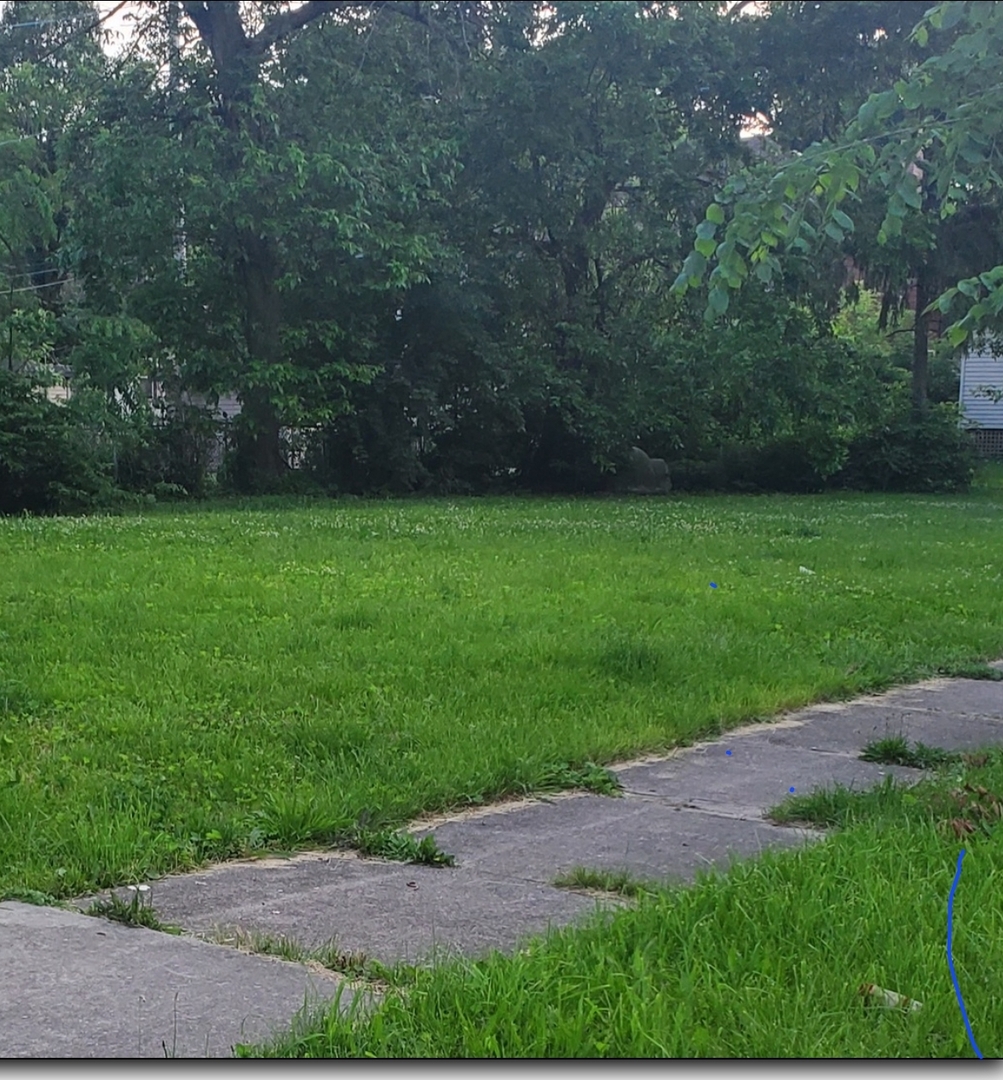 a view of a yard with a tree