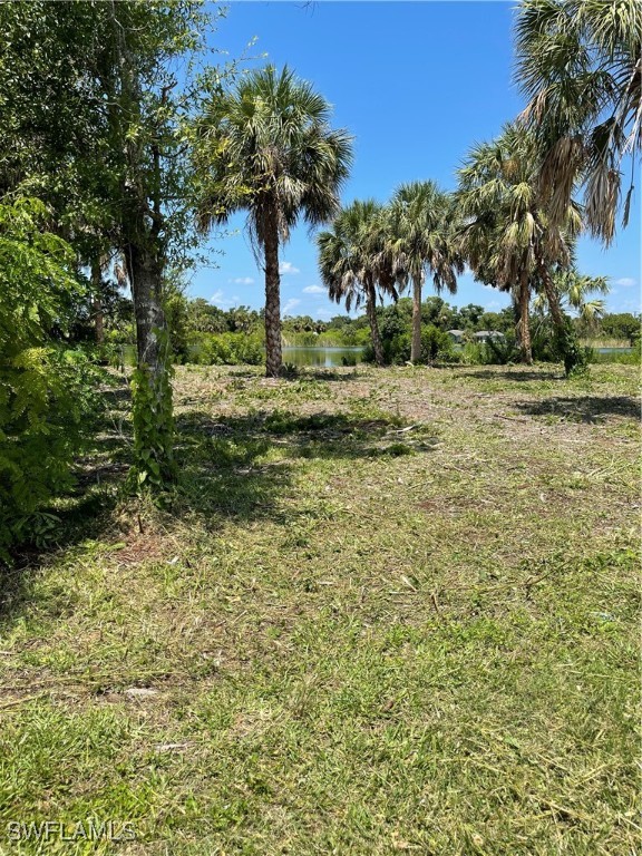 a view of a yard with an trees