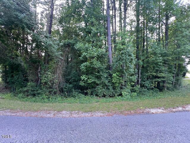 a view of a yard with large trees