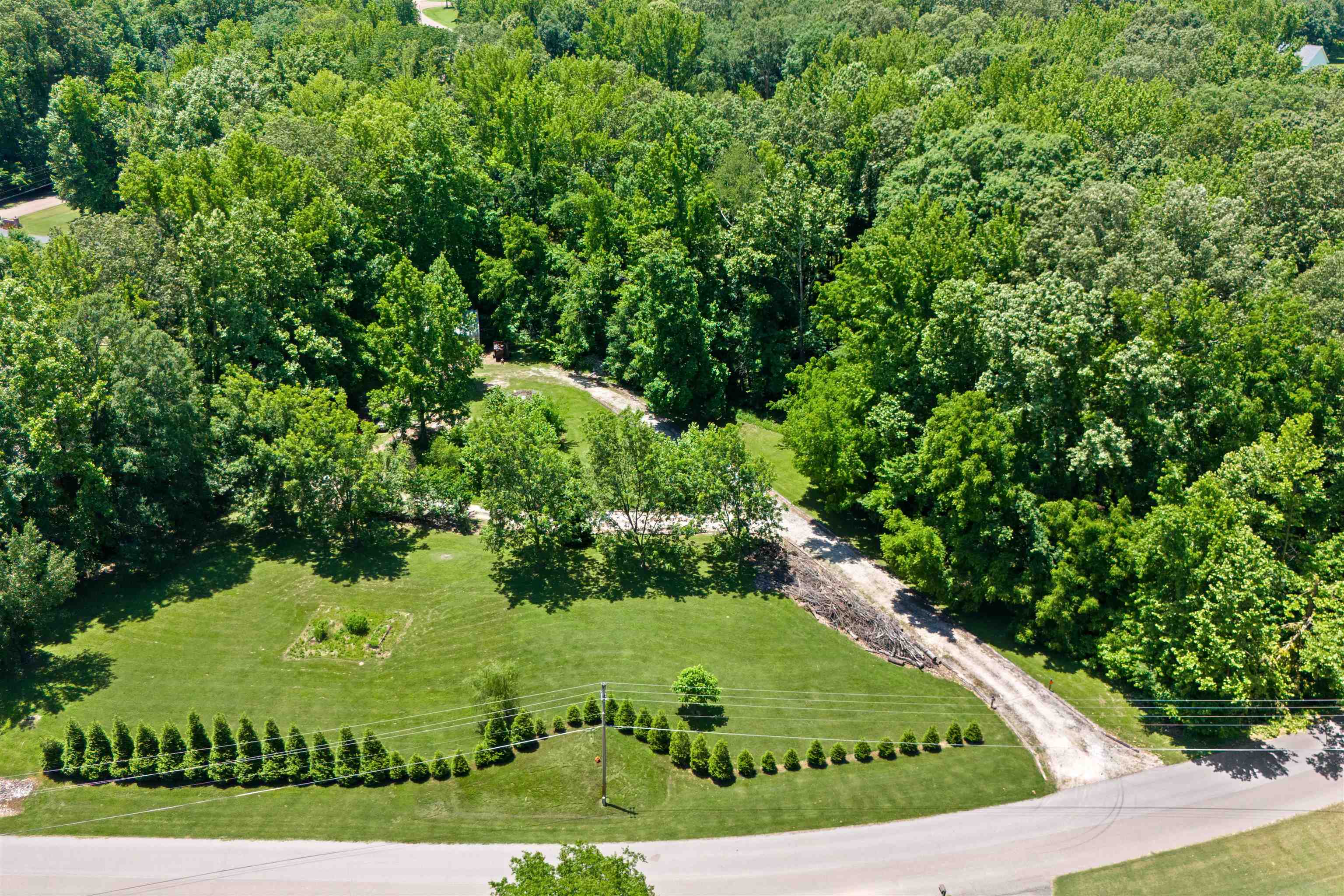 a view of a back yard