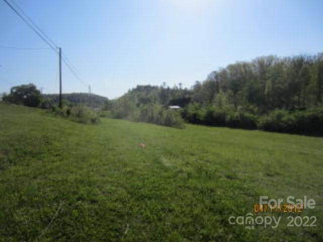 a view of a grassy field with trees in the background