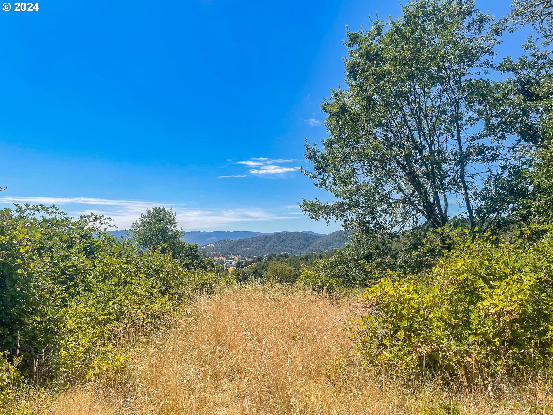 a view of a lake with a yard